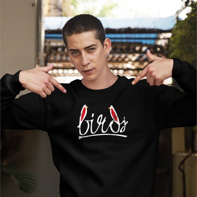 Breakingt Merch Birds Hoodie
