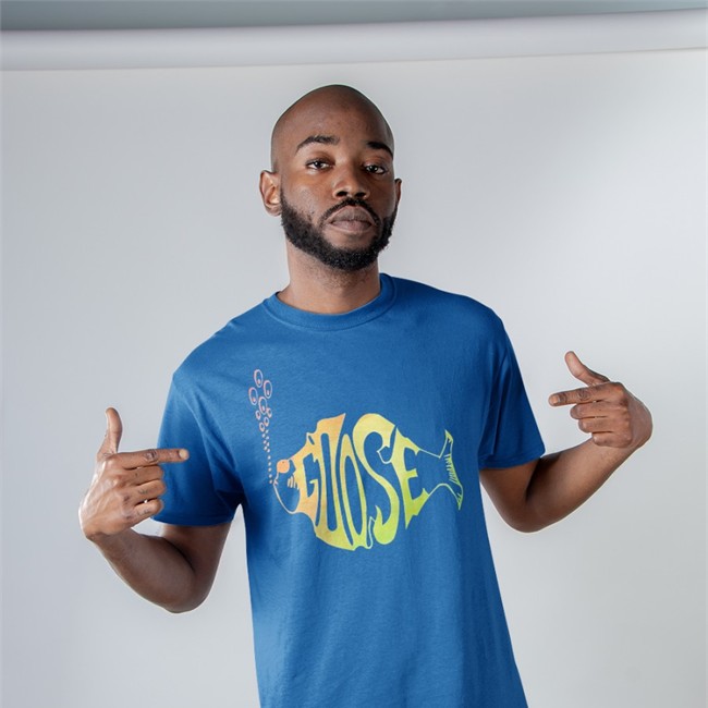 Phish Rainbow Logo T-Shirts