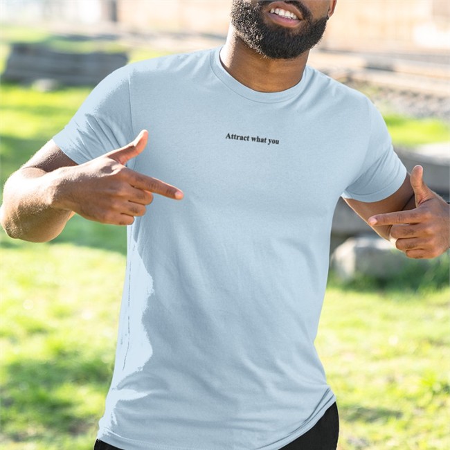 Poorly Translated Shirts Attract What You Hooded Sweatshirt