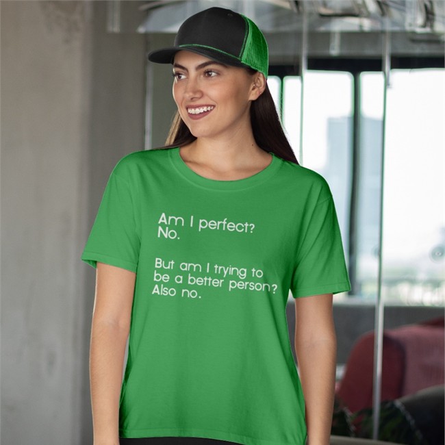 Am I Perfect No But Am I Trying To Be A Better Person Also No T Shirt
